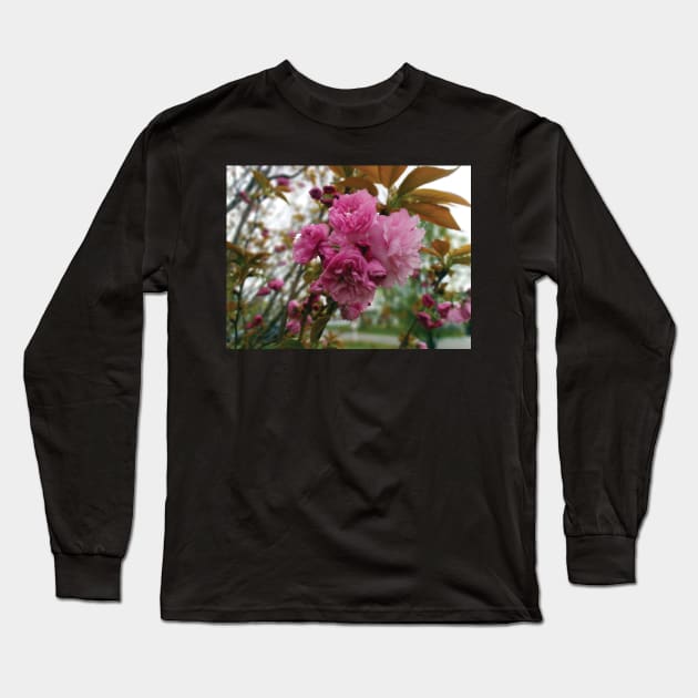 Pink flowers blooming Long Sleeve T-Shirt by PandLCreations